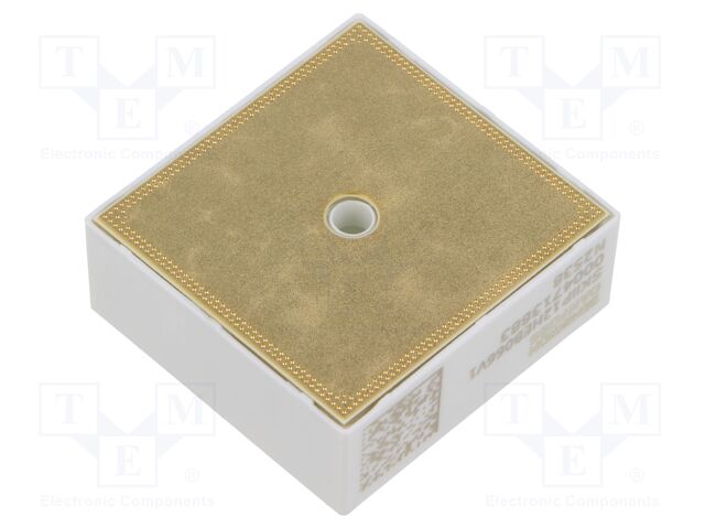 SKIIP 12HEB066V1 25230840 SKIIP 12HEB066V1 25230840