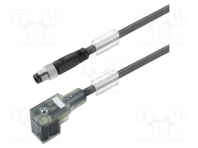 1916700250 1916700250