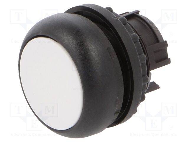 M22S-D-W M22S-D-W