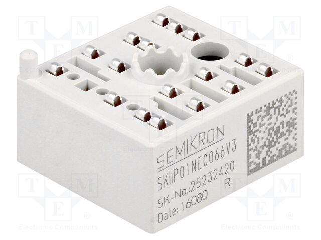 SKIIP 01NEC066V3 25232420 SKIIP 01NEC066V3 25232420