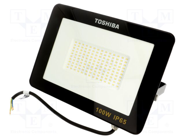 DELL-FL44100C5A011 DELL-FL44100C5A011