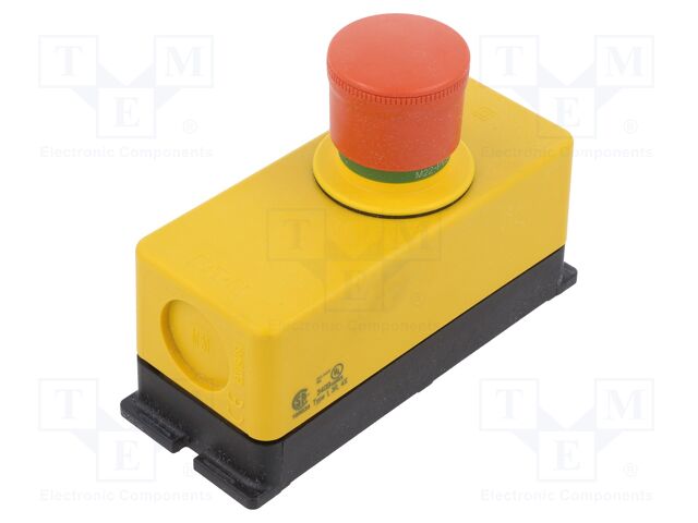 M22-PV30/FK11/FIY1 M22-PV30/FK11/FIY1