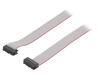 DS1052-142B2NA206001 | Ribbon cable with IDC connectors; 14x28AWG; Cable ph: 1.27mm