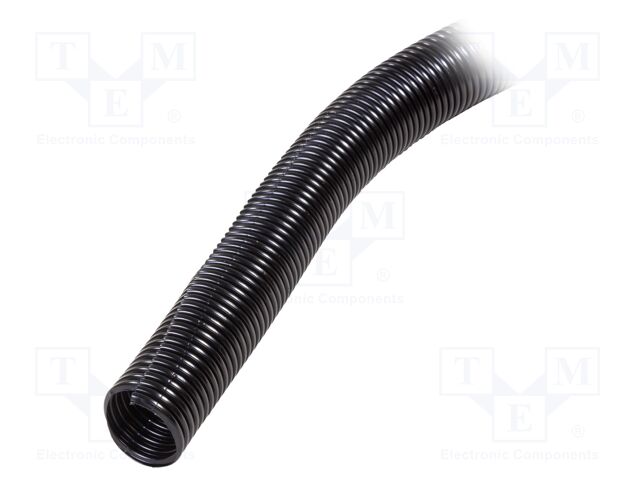 CLT125F-L20 CLT125F-L20