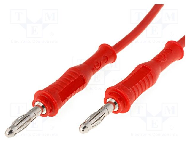 2019-100R 2019-100R