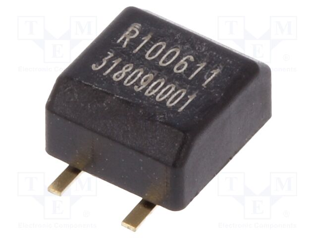 RBS100611T RBS100611T