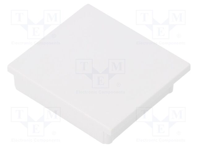 V4600001 V4600001