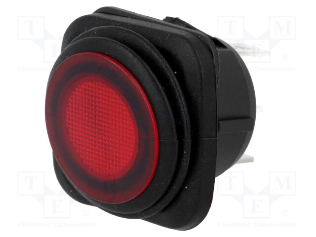 R13-203B84-01-BRRN5 R13-203B84-01-BRRN5