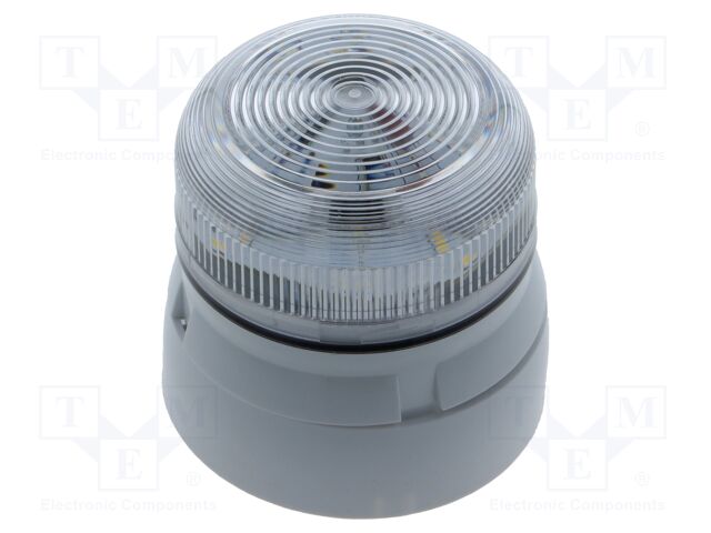 QBS-0317 QBS-0317