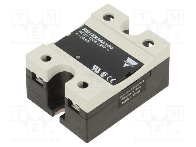 RM1E23AA100 RM1E23AA100