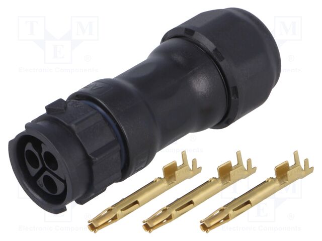 CC-03BMFA-QL8LPP CC-03BMFA-QL8LPP