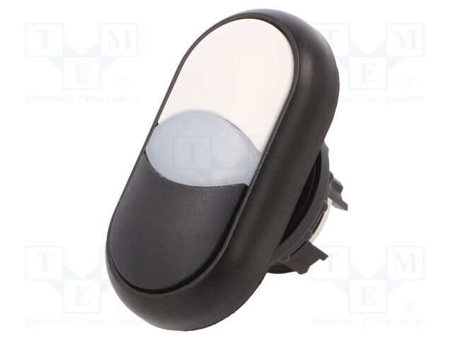 M22S-DDL-WS M22S-DDL-WS