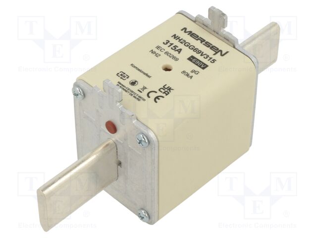 NH2GG69V315 NH2GG69V315