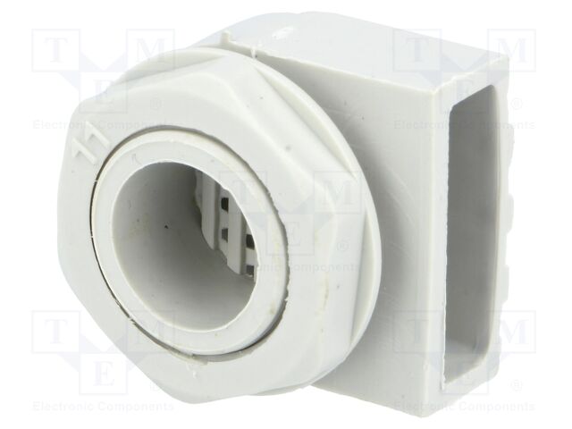 MB 10631 MB 10631