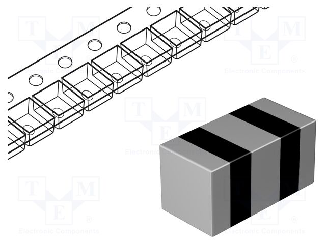 NFZ2MSM301SN10L NFZ2MSM301SN10L