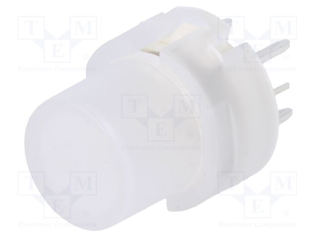 KS01-BLV-3 KS01-BLV-3