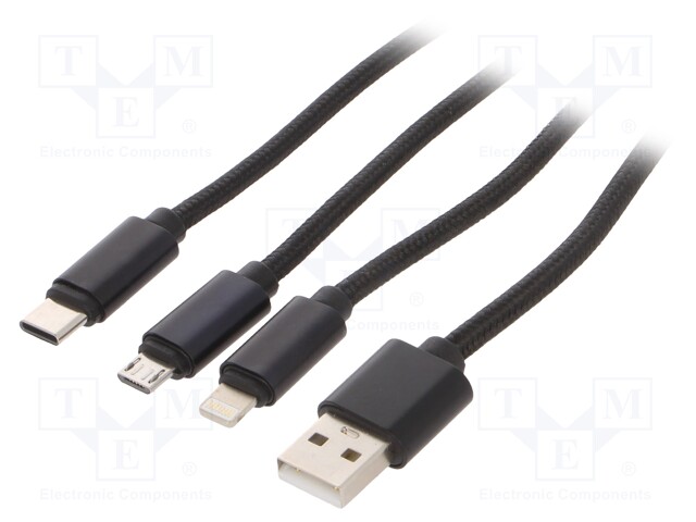 CC-USB2-AM31-1M