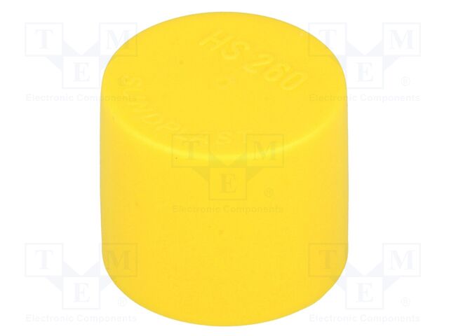 480355-01 -AS 480355-01 -AS