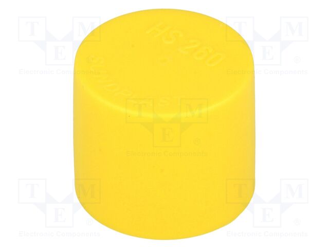 SUNDPLAST 480756-01 -AS - Cap