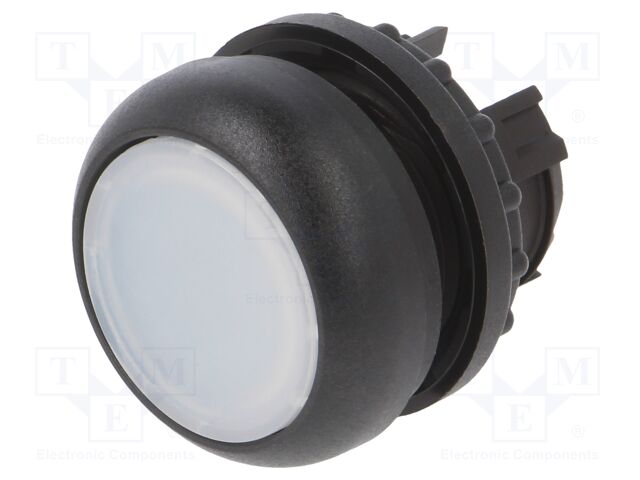 M22S-DL-W M22S-DL-W