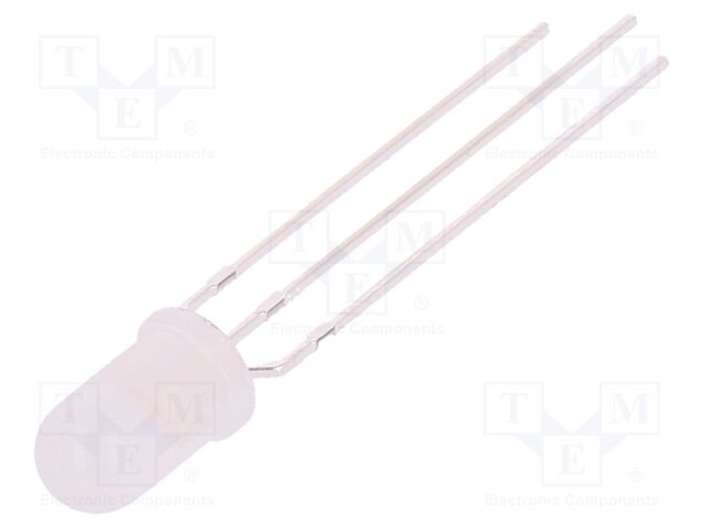 FYL-5019EGW1B-CC FYL-5019EGW1B-CC