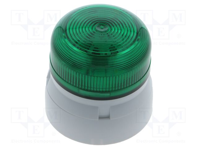 QBS-0319 QBS-0319