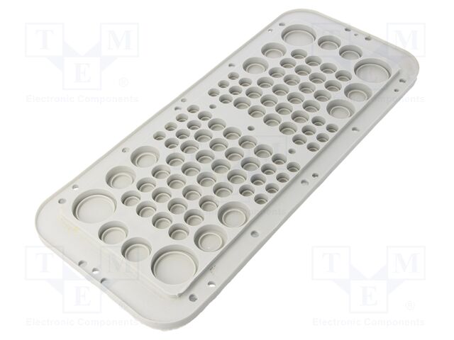 RIT-96-TPE RIT-96-TPE