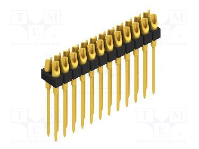 MK21024G MK21024G