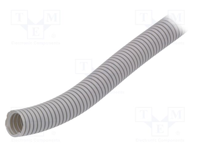 444026 -AS 444026 -AS