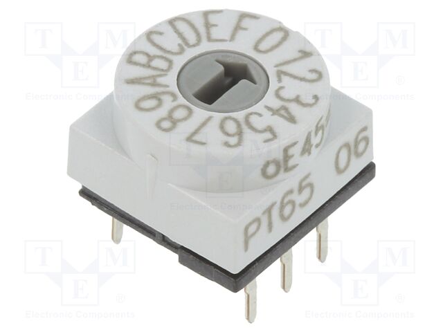 PT65106 PT65106