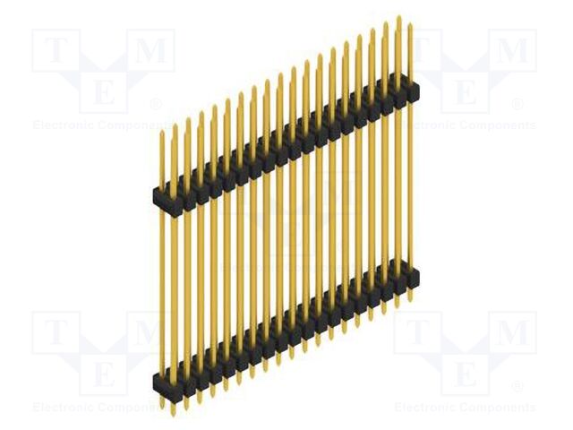 SL1436538G SL1436538G