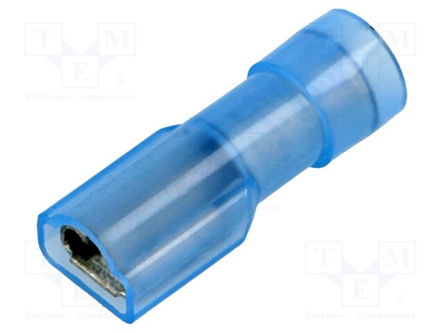 BM 80293 BM 80293