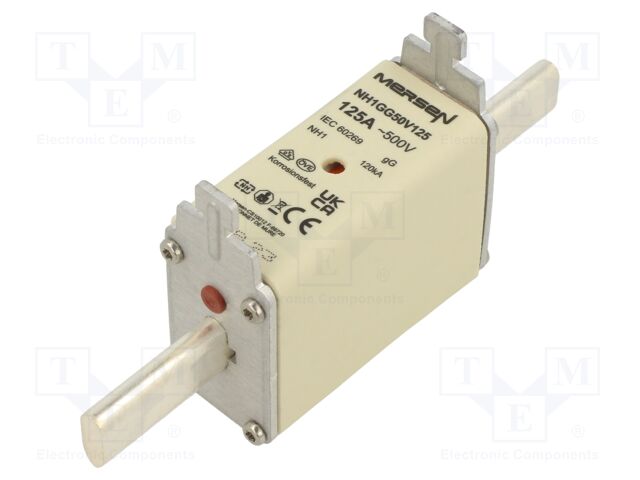 NH1GG50V125 NH1GG50V125