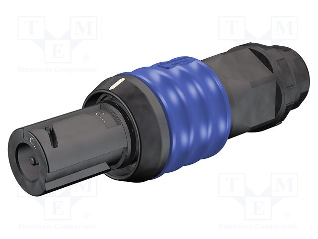 15.0668C2-23 15.0668C2-23