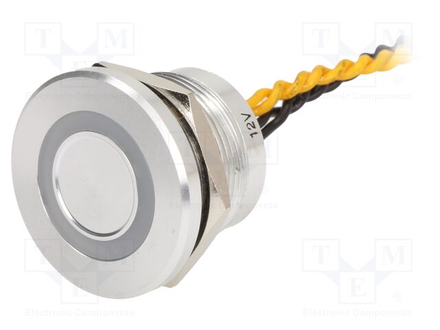 PS223P10YNT1Y12VT PS223P10YNT1Y12VT