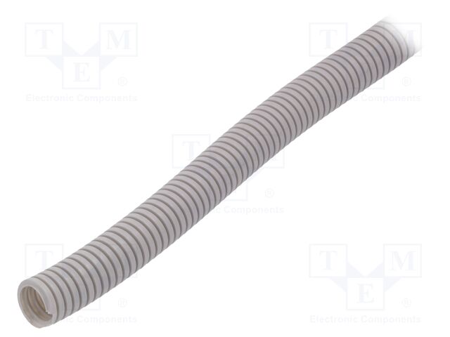 444031 -AS 444031 -AS