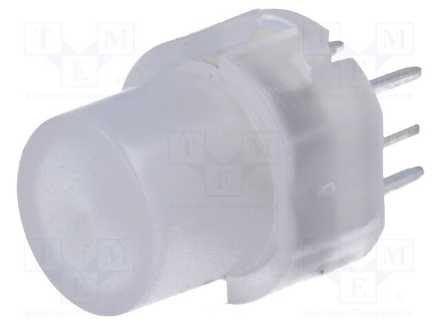KS01-BLV-13 KS01-BLV-13
