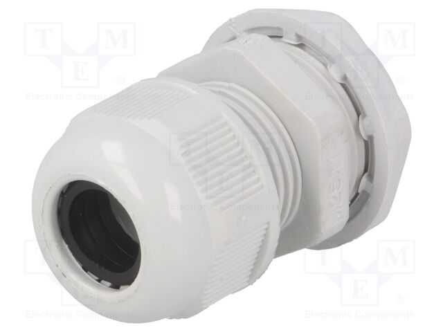 RNMG25X1.5L RNMG25X1.5L