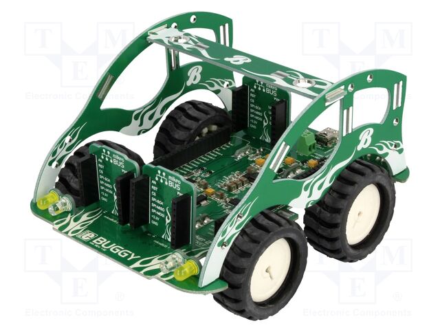 BUGGY BUGGY