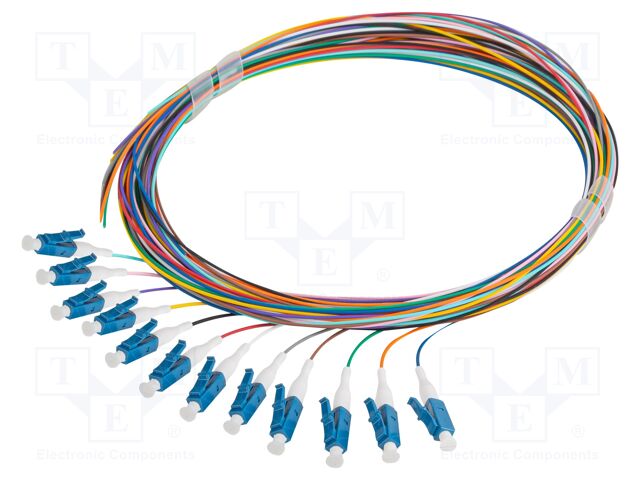 FP-LCUP-SS21-1202-MC FP-LCUP-SS21-1202-MC
