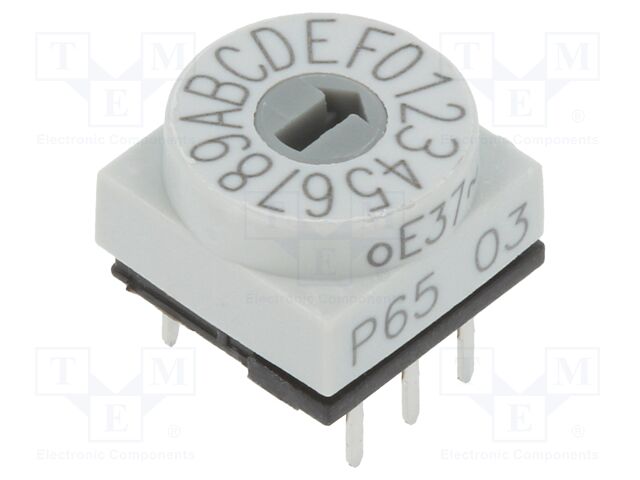 P65THR103 P65THR103