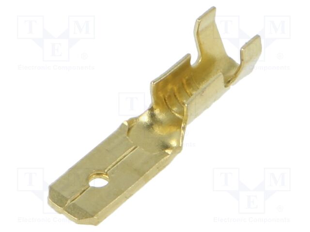 TS_4,8-2/100 TS_4,8-2/100