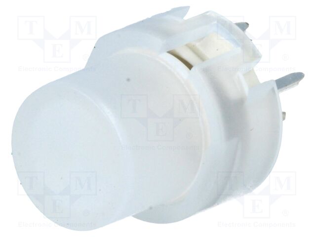 KS01-BLV-1 KS01-BLV-1
