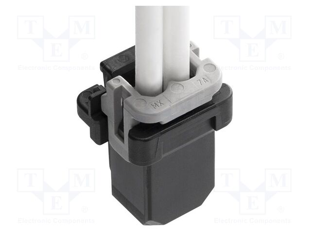 212724-2021 212724-2021