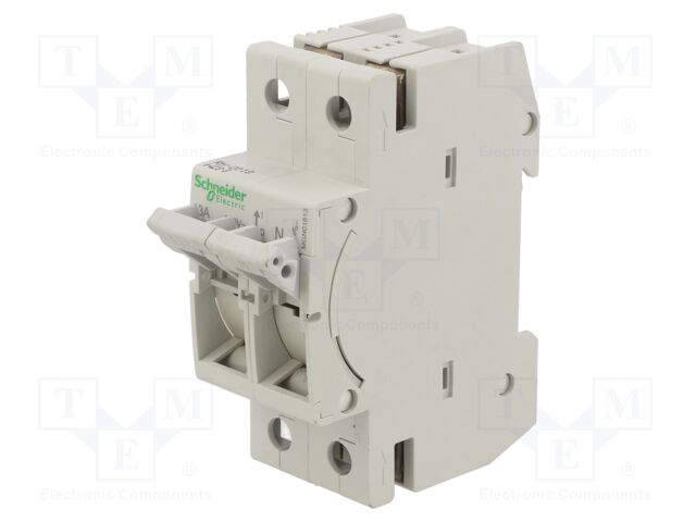 MGN01613 MGN01613