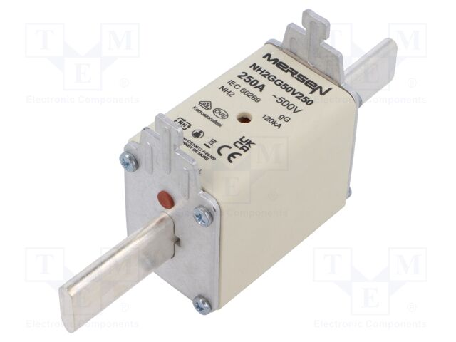 NH2GG50V250 NH2GG50V250