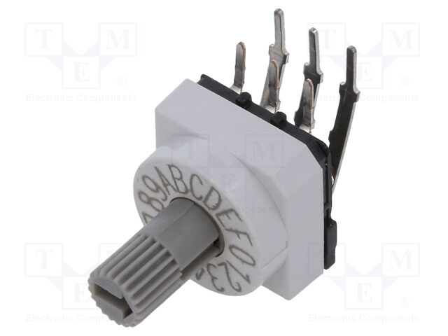 PT65303L254 PT65303L254