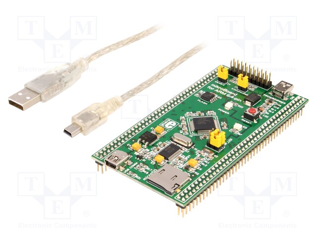 MIKROBOARD FOR ARM 64-PIN