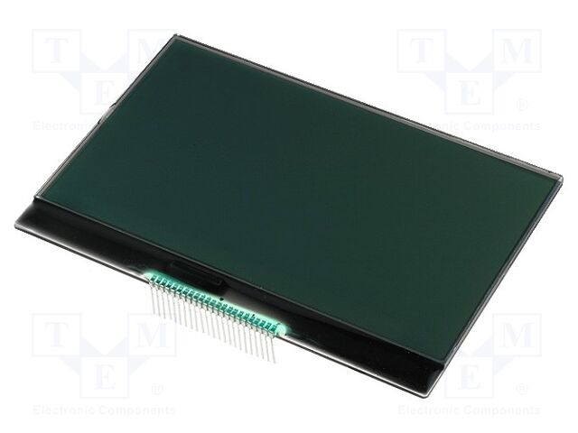 RX240128A-FGN RX240128A-FGN
