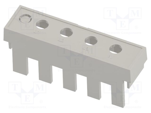 P05030259T P05030259T